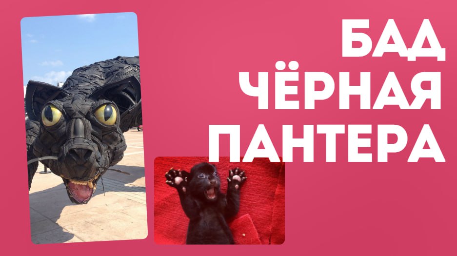 Чёрная пантера: Обман или чудо для похудения?