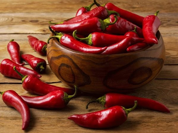 Как химия делает еду острой: тайны вкусовых рецепторов 